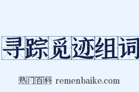 寻踪觅迹组词是什么意思的图片